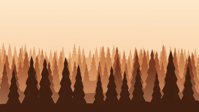 Fond d'écran forêt de sapins en couches dans la brume, teintes automne
