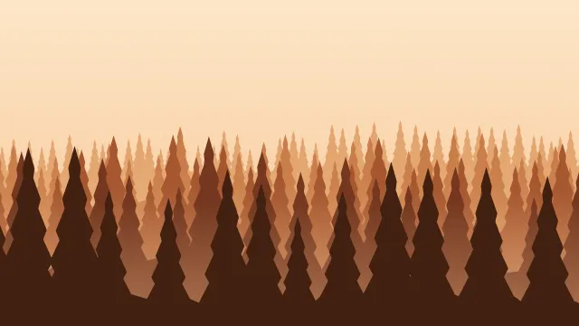 Fond d'écran forêt de sapins en couches dans la brume, teintes automne