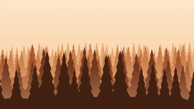 Fond d'écran forêt de sapins en couches dans la brume, teintes automne