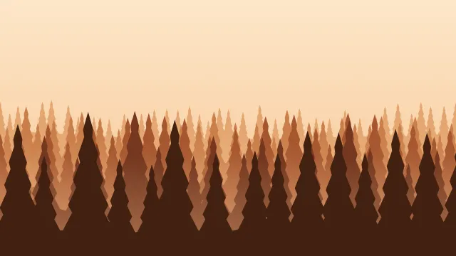 Fond d'écran forêt de sapins en couches dans la brume, teintes automne