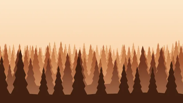 Fond d'écran forêt de sapins en couches dans la brume, teintes automne