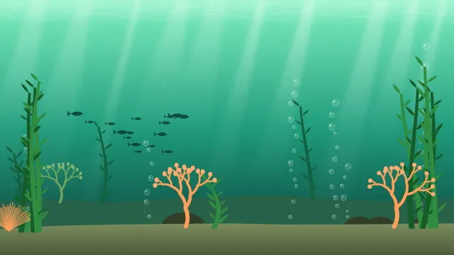 Fond d'écran fond marin : rayons de lumière, bulles, coraux, algues et banc de poissons, teintes émeraude